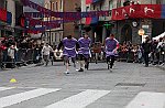 Gara delle Bighe 2011-7790